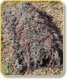 Ghillie Blanket cover 4' x 6' (Option: Color Mossy)