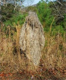 Ghillie Poncho - Synthetic Ultra light (Option: Color Desert + Rifle wrap)